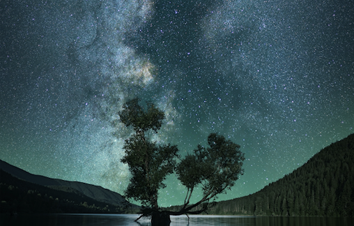 INTERCONNECTIVITY FROM THE SOIL TO THE COSMOS